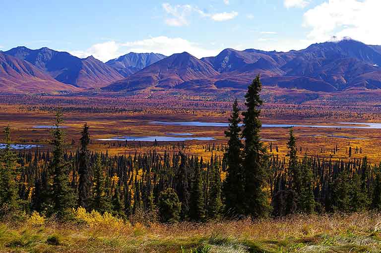 épinale grand nord canadien